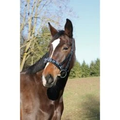 Kerbl Kaptoom Leer Incl. Bitriem Zwart