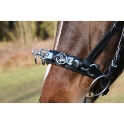 Kerbl Kaptoom Leer Incl. Bitriem Zwart -Waldhausen || Kentucky Horsewear || Norton Verkoop kerbl 32864910.1e520e