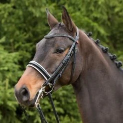 Kieffer Stang- En Trenshoofdstel Paris Grey Crystals Zwart/Wit