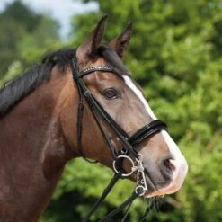 Kieffer Stang- En Trenshoofdstel Paris White Crystals Zwart