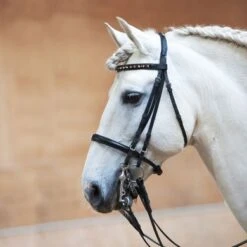 Kieffer Stang- En Trenshoofdstel Anja Beran Exclusive Jonquil Bicolor Zwart/Chrome