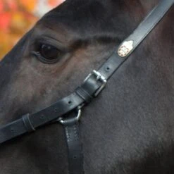 Kieffer Kaptoom Perfect Zwart Cob/Full -Waldhausen || Kentucky Horsewear || Norton Verkoop kieffer 618 kappzaum perfect 2.56cdb2