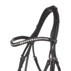 Kavalkade Gebitstang Antonia Zwart-lack -Waldhausen || Kentucky Horsewear || Norton Verkoop kv 19351 05.1943d1 1