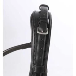 Kavalkade Gebitstang Antonia Zwart-lack -Waldhausen || Kentucky Horsewear || Norton Verkoop kv 19351 06.98ad07 1