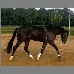 Kavalkade HO Longeerhulpteugel