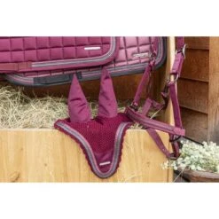 Lami-Cell Halster Sparkling Bordeaux -Waldhausen || Kentucky Horsewear || Norton Verkoop lc 555 014 333 ambi6.c2ee2f