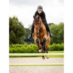 LeMieux Oornetje Crystal Bruin -Waldhausen || Kentucky Horsewear || Norton Verkoop lemieux 1s6a6270 edit copy.2d9f29