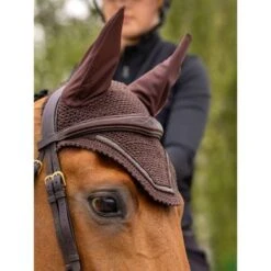 LeMieux Oornetje Crystal Bruin -Waldhausen || Kentucky Horsewear || Norton Verkoop lemieux 1s6a6342 edit copy.8e6631