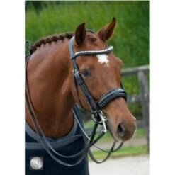 LJ-Leathers Hoofdstel Superior Lak Stang En Trens Zwart