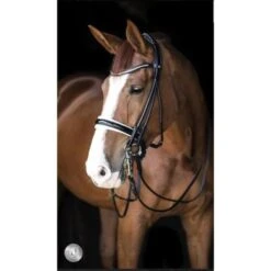 LJ-Leathers Hoofdstel Serrena Stang En Trens Rond Genaaid Zwart/Wit