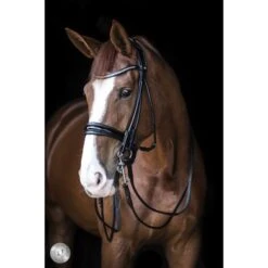 LJ-Leathers Hoofdstel Serrena Stang En Trens Rond Genaaid Zwart