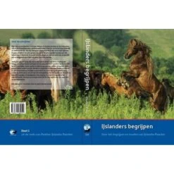 IJslanders Begrijpen