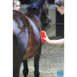Magic Brush Shampoo Wash&Shine Sensitive 500ml -Waldhausen || Kentucky Horsewear || Norton Verkoop mbrush shampoo algmeen 5.9f4b96