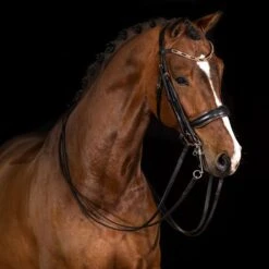 Mrs. Ros Stang & Trenshoofdstel Galaxy Rose