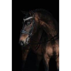 Mrs. Ros Stang- En Trenshoofdstel Johnny Deluxe Zwart/Zilver Full