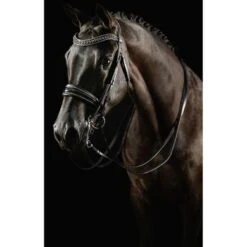Mrs. Ros Stang- En Trenshoofdstel Johnny Deluxe Zwart/Zilver Full -Waldhausen || Kentucky Horsewear || Norton Verkoop mrsros hvphotography 16.255f8a