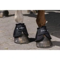 Norton Springschoenen 2520D Zwart -Waldhausen || Kentucky Horsewear || Norton Verkoop norton norton 2520 d springschoenen 2.a4fc95
