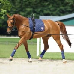 Passier Bijzetteugels Horst Becker Full Zwart