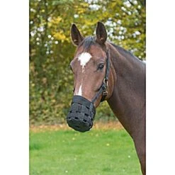 Kerbl Graasmasker Zwart -Waldhausen || Kentucky Horsewear || Norton Verkoop productke 321626.11900c
