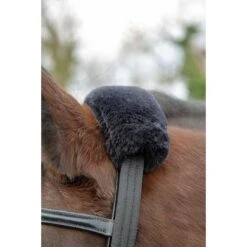 Shires Longeerhulp Kopstuk Zwart One Size -Waldhausen || Kentucky Horsewear || Norton Verkoop productsh 438 3.cd4170