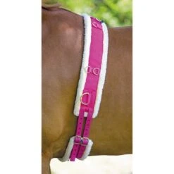Shires Longeersingel Nylon Met Fleece Voering Raspberry