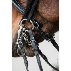 Schockemöhle Stang- En Trenshoofdstel Milton Zwart/zilver -Waldhausen || Kentucky Horsewear || Norton Verkoop schockemohle 1111 00013 milton blacksilver img2022 86.9c9859