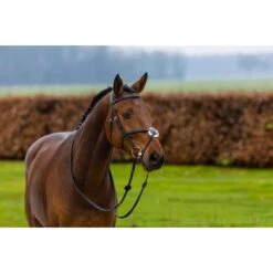 Trust Hoofdstel Oslo Bruin/Goud -Waldhausen || Kentucky Horsewear || Norton Verkoop trust oslo mexican noseband heus23l296332.489789