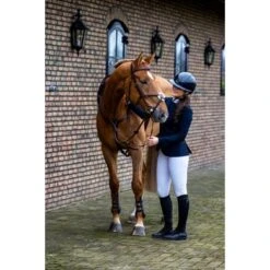 Trust Hoofdstel Oslo Bruin/Zilver -Waldhausen || Kentucky Horsewear || Norton Verkoop trust trust heus23l296170.ec7229 2