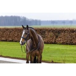 Trust Hoofdstel Wellington Zwart/Wit -Waldhausen || Kentucky Horsewear || Norton Verkoop trust wellington double bridle mat crank noseband heus23l296364.7dcdce 1