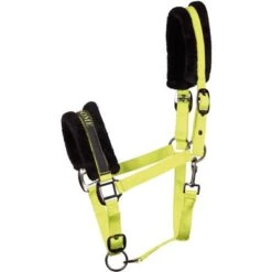 Harry's Horse Halster Lyrics Black Lime