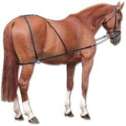 Waldhausen Longeerhulpteugel Combi Zwart Full