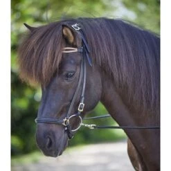 Waldhausen Ijslanderhoofdstel Strokkur Zwart/Messing -Waldhausen || Kentucky Horsewear || Norton Verkoop wald 2278901 4.b9024e