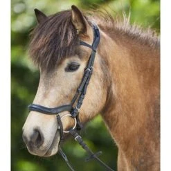 Waldhausen Ijslanderhoofdstel Anatomic Zwart -Waldhausen || Kentucky Horsewear || Norton Verkoop wald 2279001 33.d927fa