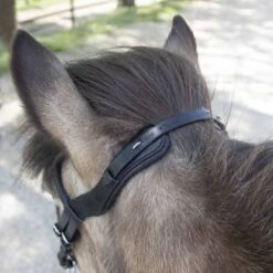 Waldhausen Ijslanderhoofdstel Anatomic Zwart -Waldhausen || Kentucky Horsewear || Norton Verkoop wald 2279001 4.fedf87