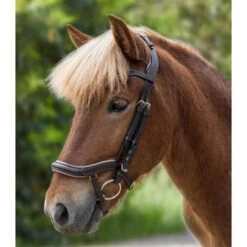 Waldhausen Ijslanderhoofdstel Anatomic Bruin -Waldhausen || Kentucky Horsewear || Norton Verkoop wald 2279030 30.16dffe