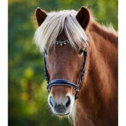 Waldhausen Ijslanderhoofdstel Ice Crystal Zwart/Zilver