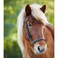 Waldhausen Ijslanderhoofdstel Ice Crystal Bruin/Messing