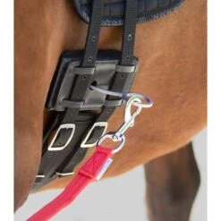 Waldhausen Longeerhulp Equibender