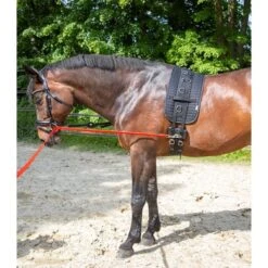 Waldhausen Longeerhulp Equibender -Waldhausen || Kentucky Horsewear || Norton Verkoop wald 8105201 4.01c281