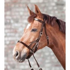 Star Bitloos Hoofdstel Two Bruin