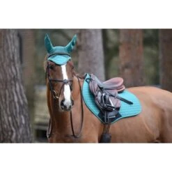 Weatherbeeta Oornetje Prime Groen -Waldhausen || Kentucky Horsewear || Norton Verkoop wb 1000071000 1000747000 green wb prime jp sp image null hero.0af77f