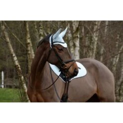 Weatherbeeta Oornetje Prime Ice Blue -Waldhausen || Kentucky Horsewear || Norton Verkoop wb 1000071000 1000747000 iceblue wb prime jp sp image2 null hero.e5487c